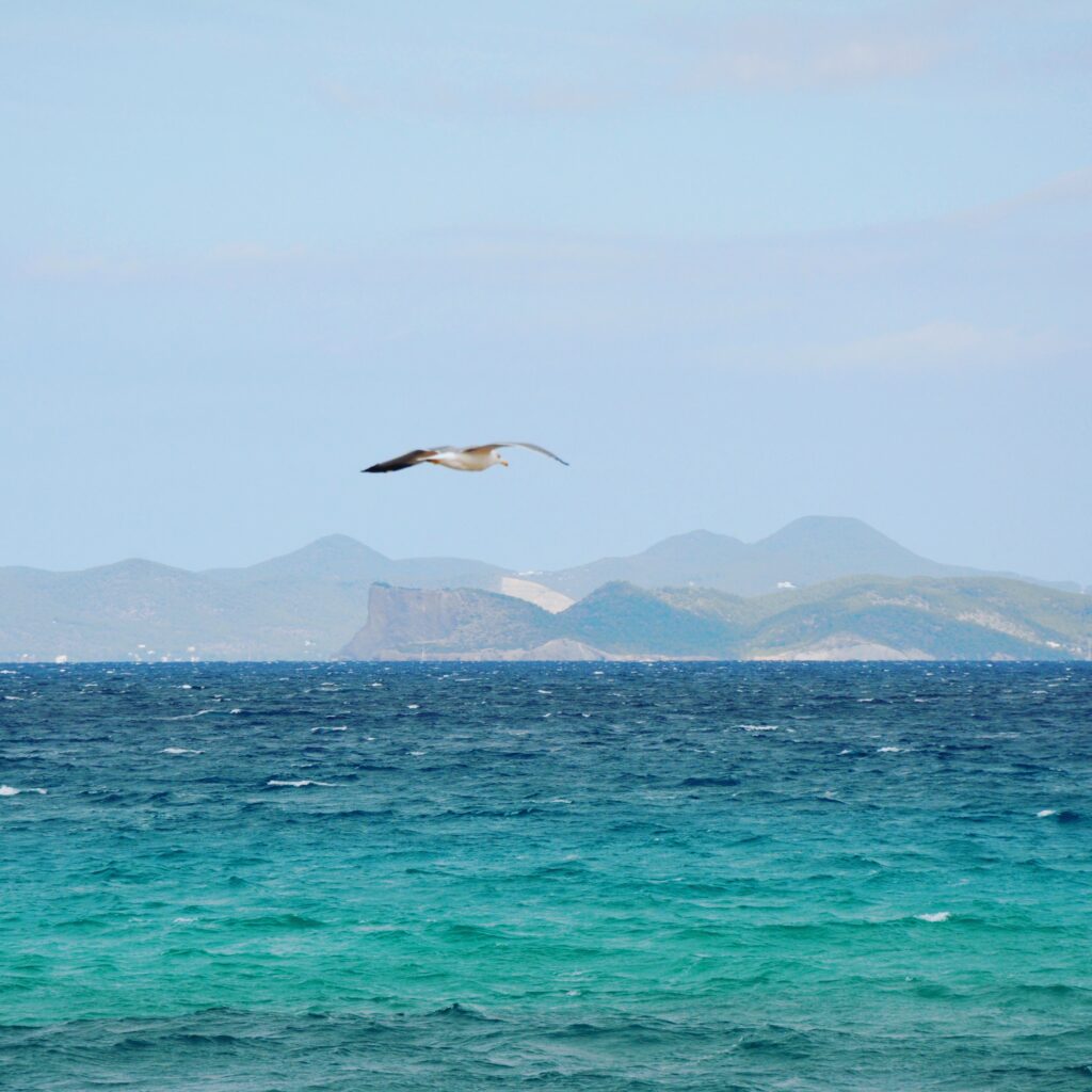 Formentera